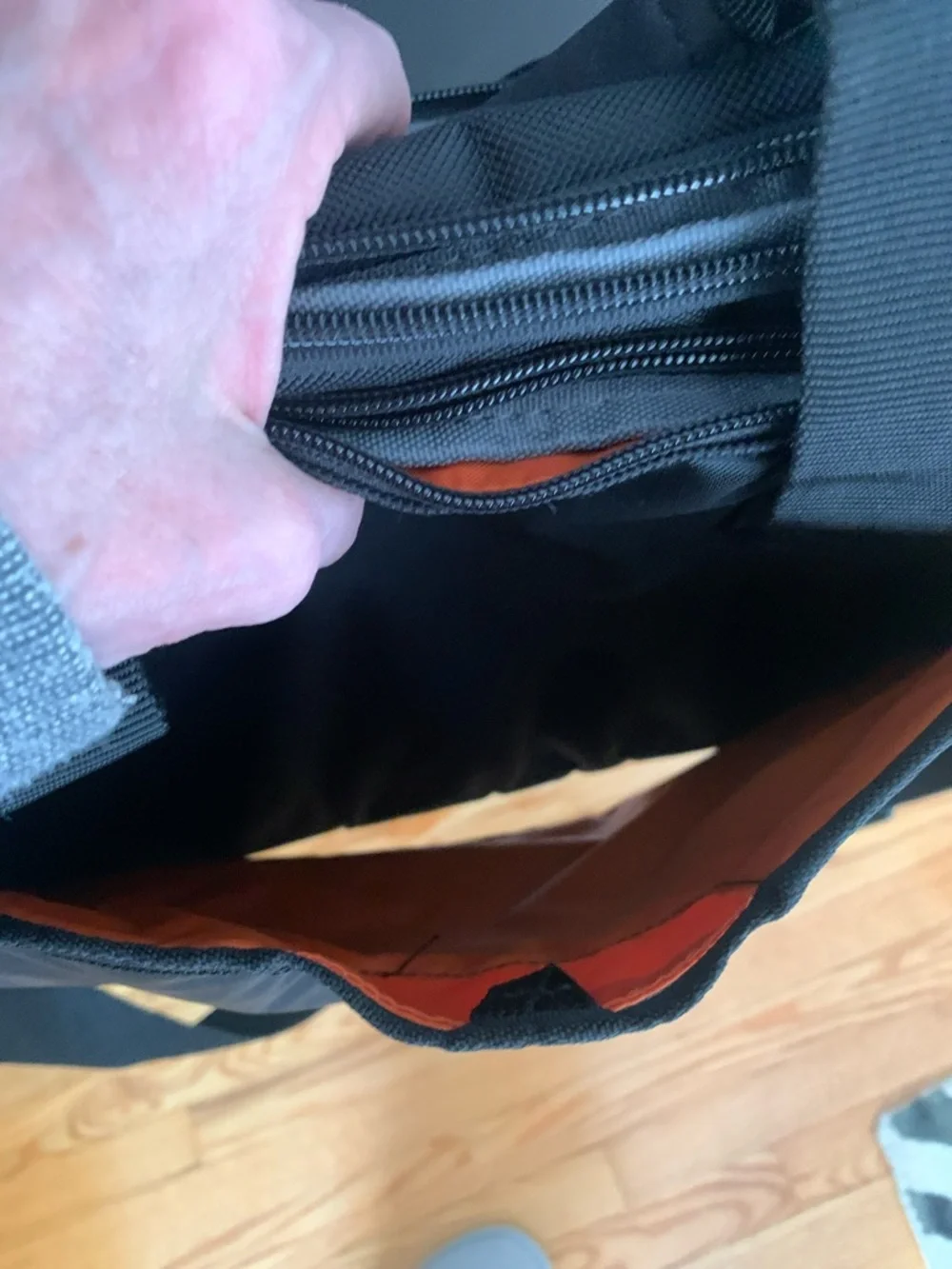 eBags travel crossbody/backpack